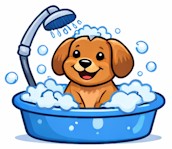 Keep your dog and cat clean