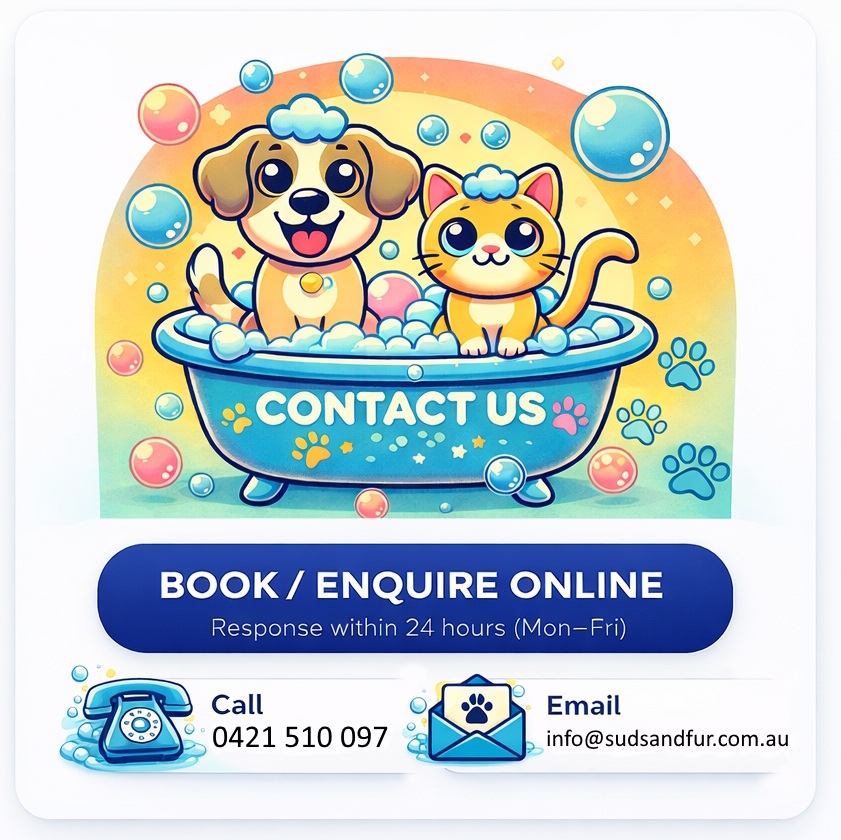 Contact Suds and Fur today