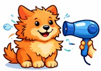 Blow dry your pet